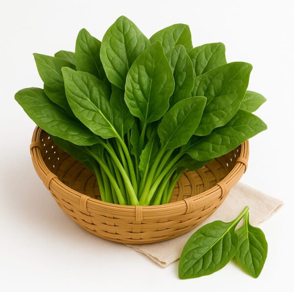 Spinach (Palak)